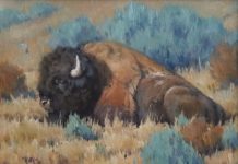 Keith Huey Bison Repose buffalo wildlife oil painting wilderness forest
