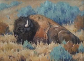 Keith Huey Bison Repose buffalo wildlife oil painting wilderness forest