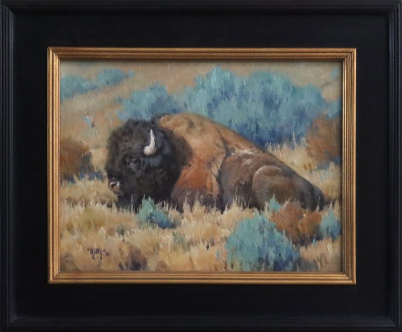 Keith Huey Bison Repose buffalo wildlife oil painting wilderness forest framed