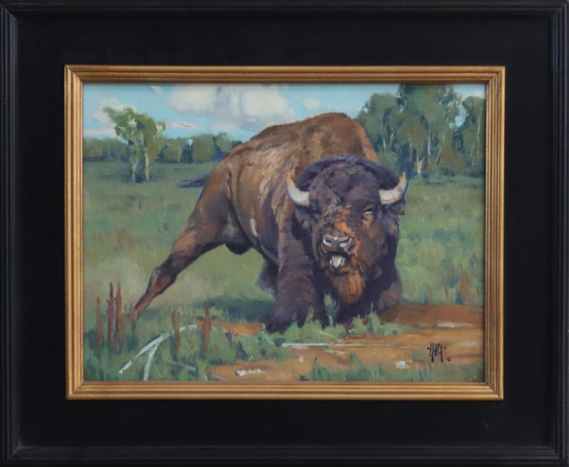 Keith Huey Ready To Roll buffalo wildlife oil painting wilderness forest roar framed