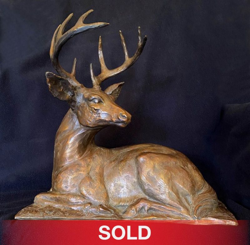 Sandy Scott Downwind reclining deer elk wildlife bronze scultpure front sold