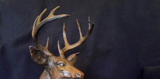 Sandy Scott Downwind reclining deer elk wildlife bronze scultpure front