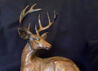 Sandy Scott Downwind reclining deer elk wildlife bronze scultpure front