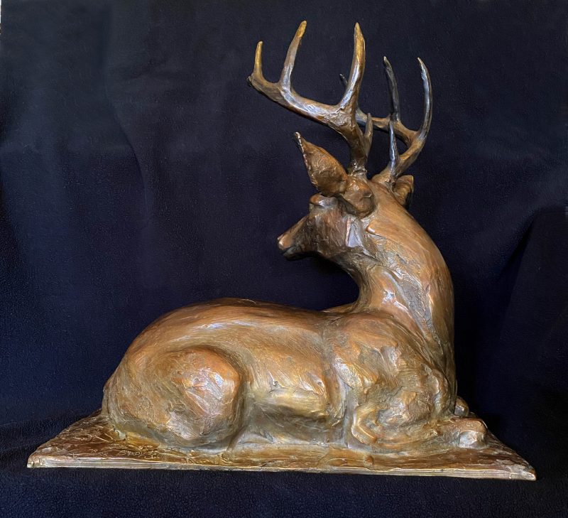 Sandy Scott Downwind reclining deer elk wildlife bronze scultpure back
