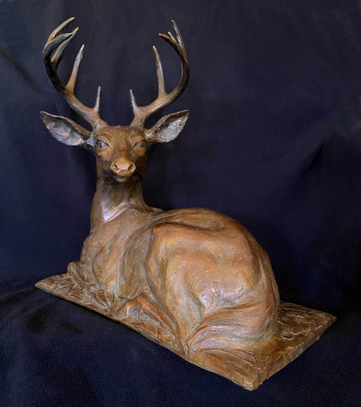 Sandy Scott Downwind reclining deer elk wildlife bronze scultpure