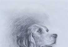Sandy Scott English Setter Labrador dog pet pencil portrait