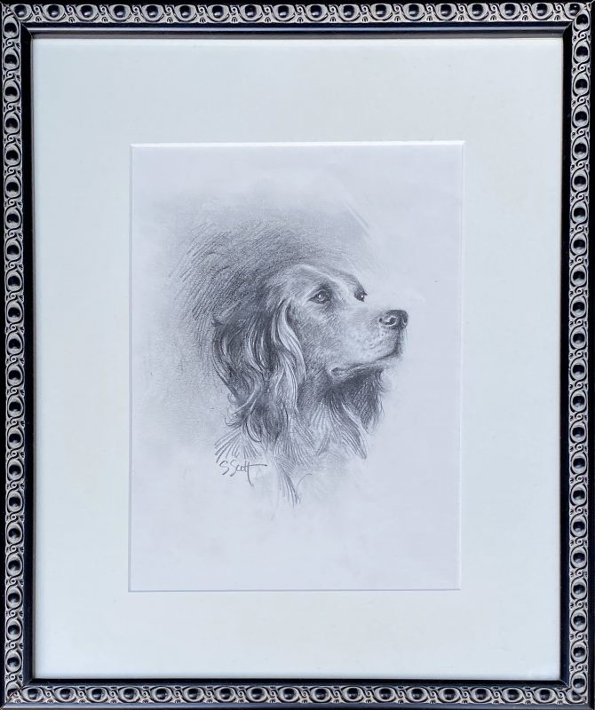 Sandy Scott English Setter Labrador dog pet pencil portrait framed