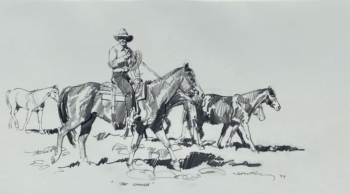 Robert Shoofly Shufelt The Ramuda Remuda Ramada cowboy horse western pencil drawing