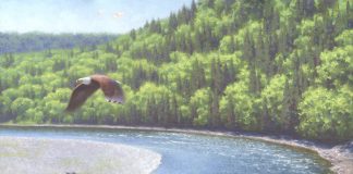 Claudio D'Angelo Eagles Over The Restigouche river stream Canada wildlife landscape oil painting salmon
