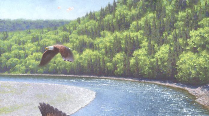 Claudio D'Angelo Eagles Over The Restigouche river stream Canada wildlife landscape oil painting salmon