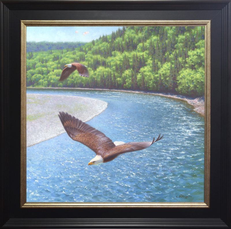 Claudio D'Angelo Eagles Over The Restigouche river stream Canada wildlife landscape oil painting salmon framed