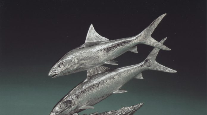 Kent Ullberg Silver Ghosts fish ocean fishing wildlife sculpture stainless steel bronze