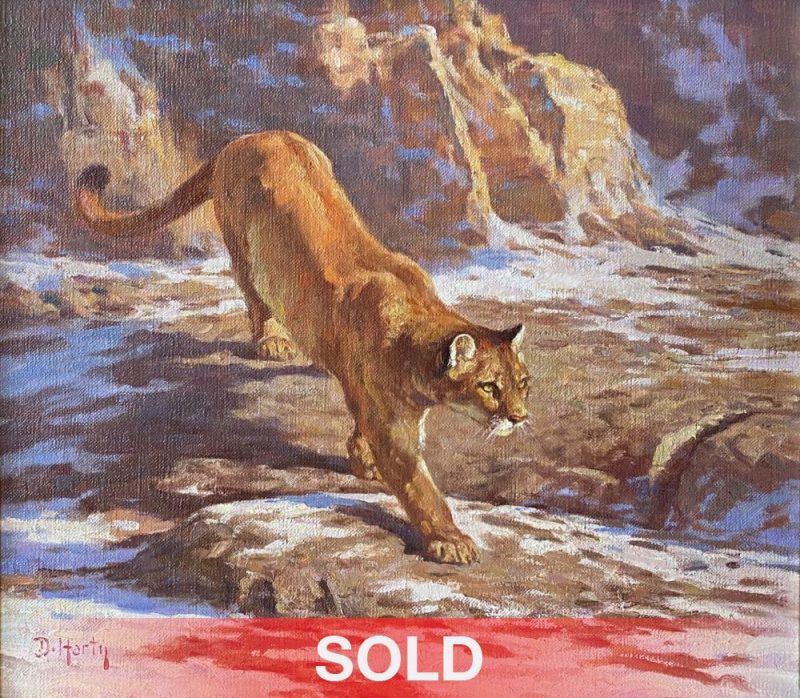 Dwayne Harty Descending Cougar wildlife landscape oil painting mountain lion cat sold