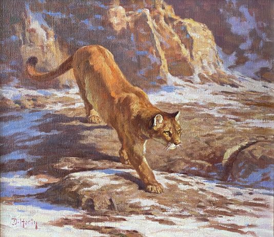 Dwayne Harty Descending Cougar wildlife landscape oil painting mountain lion cat