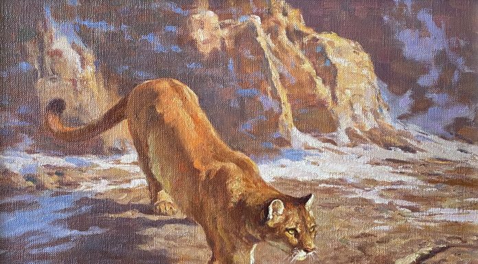 Dwayne Harty Descending Cougar wildlife landscape oil painting mountain lion cat