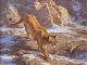 Dwayne Harty Descending Cougar wildlife landscape oil painting mountain lion cat