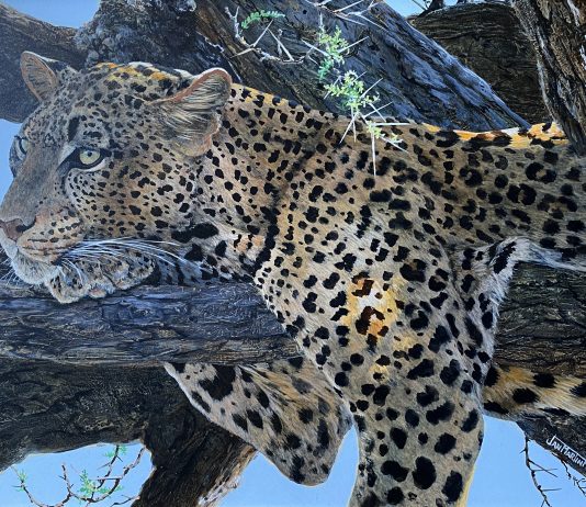 Jan Martin McGuire Pensive spotted leopard cat cougar cheetah wildlife oil painting