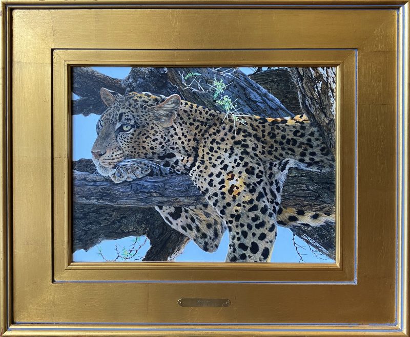 Jan Martin McGuire Pensive spotted leopard cat cougar cheetah wildlife oil painting framed
