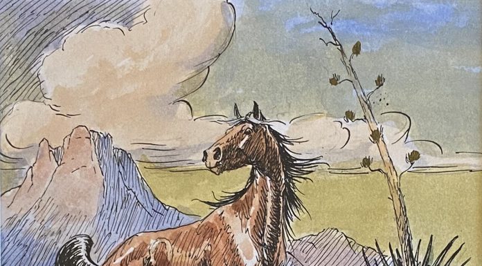 Johnny Hampton Mustangs horses equine desert mountain wild free horse western pen watercolor painting