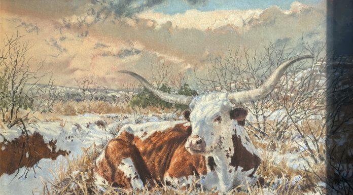 David Sanders "Longhorn" pastel western painting snow landscape