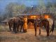 Karin Hollebeke The Resting Place cowboy yellow slicker horses cabin fire light cozy western oil painting