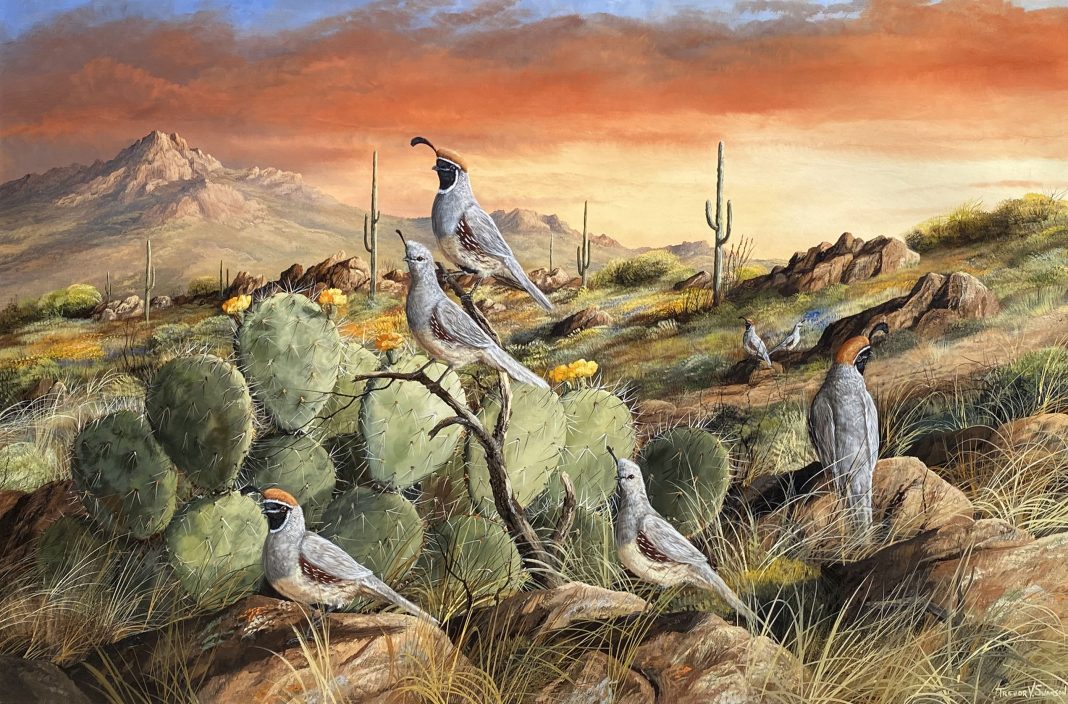 Trevor Swanson Sunset In Spring quail desert cactus cacti saguaro prickly pear mountain western wildlife oil painting