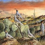 Trevor Swanson Sunset In Spring quail desert cactus cacti saguaro prickly pear mountain western wildlife oil painting