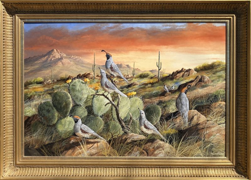 Trevor Swanson Sunset In Spring quail desert cactus cacti saguaro prickly pear mountain western wildlife oil painting framed