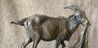 Herb Mignery Tack Room Bandit goat farm ranch western bronze scultpure