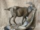 Herb Mignery Tack Room Bandit goat farm ranch western bronze scultpure