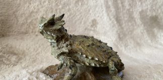 R. Thompson Horny Toad wildlife bronze sculpture