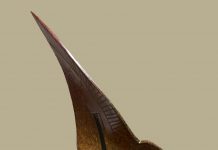 Gene and Rebecca Tobey eagle contemporary modern wildlife bronze sculpture