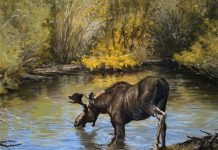 Linda Budge Thirst moose stream river brook high mountain wildlife landscape oil painting