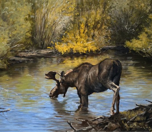 Linda Budge Thirst moose stream river brook high mountain wildlife landscape oil painting