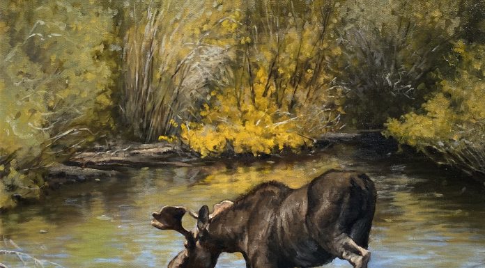 Linda Budge Thirst moose stream river brook high mountain wildlife landscape oil painting