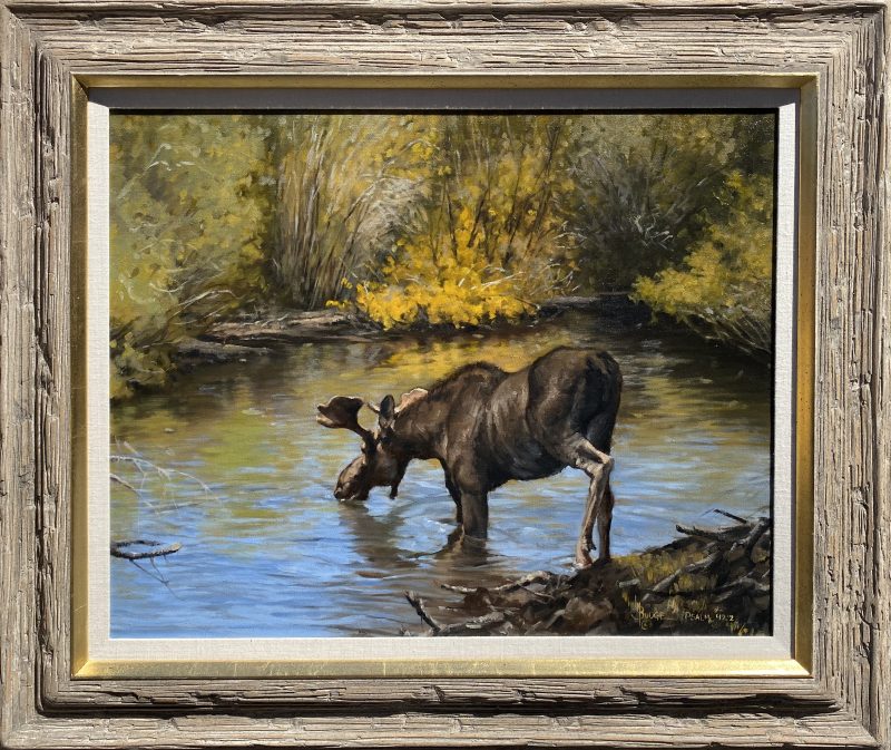 Linda Budge Thirst moose stream river brook high mountain wildlife landscape oil painting framed
