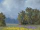 Michael Dancer Stormy Evening cloud mountain trees flowers western landscape oil painting