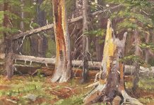 Ralph Oberg Deep In The Forest trees grass western landscape oil painting