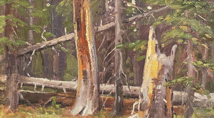 Ralph Oberg Deep In The Forest trees grass western landscape oil painting