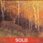 Ralph Oberg Edge Of Evening wildlife oil painting deer elk cedar birch aspen trees sold