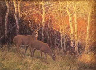 Ralph Oberg Edge Of Evening wildlife oil painting deer elk cedar birch aspen trees