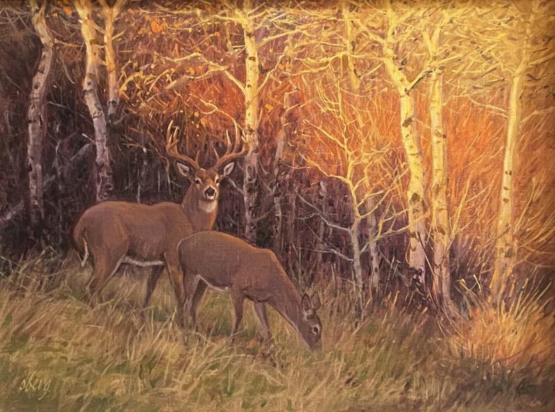 Ralph Oberg Edge Of Evening wildlife oil painting deer elk cedar birch aspen trees