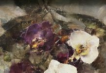 Laura Robb Orchids flowers floral still-life oil painting