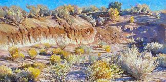 Daniel Mundy Desert Arroyo desert landscape New Mexico oil painting