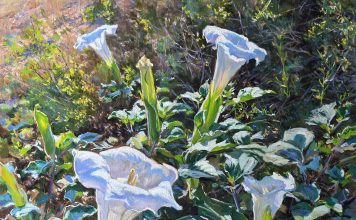 Daniel Mundy Moonflowers Sacred Datura floral flower landscape oil painting