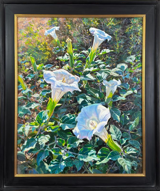 Daniel Mundy Moonflowers Sacred Datura floral flower landscape oil painting framed