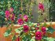 Daniel Mundy Santa Fe Garden Hollyhocks flowers floral gardening landscape oil painting
