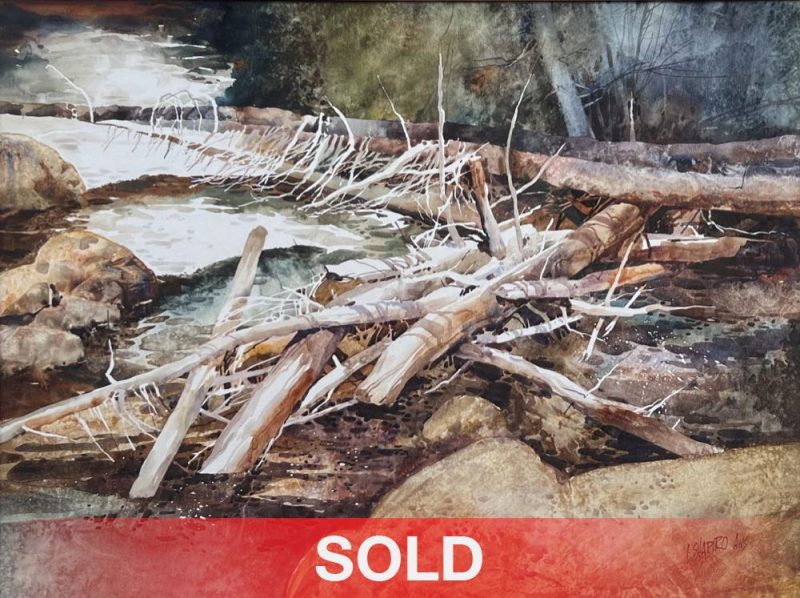 Irving Shapiro Canyon Filigree stream brook river beaver dam watercolor landscape painting sold
