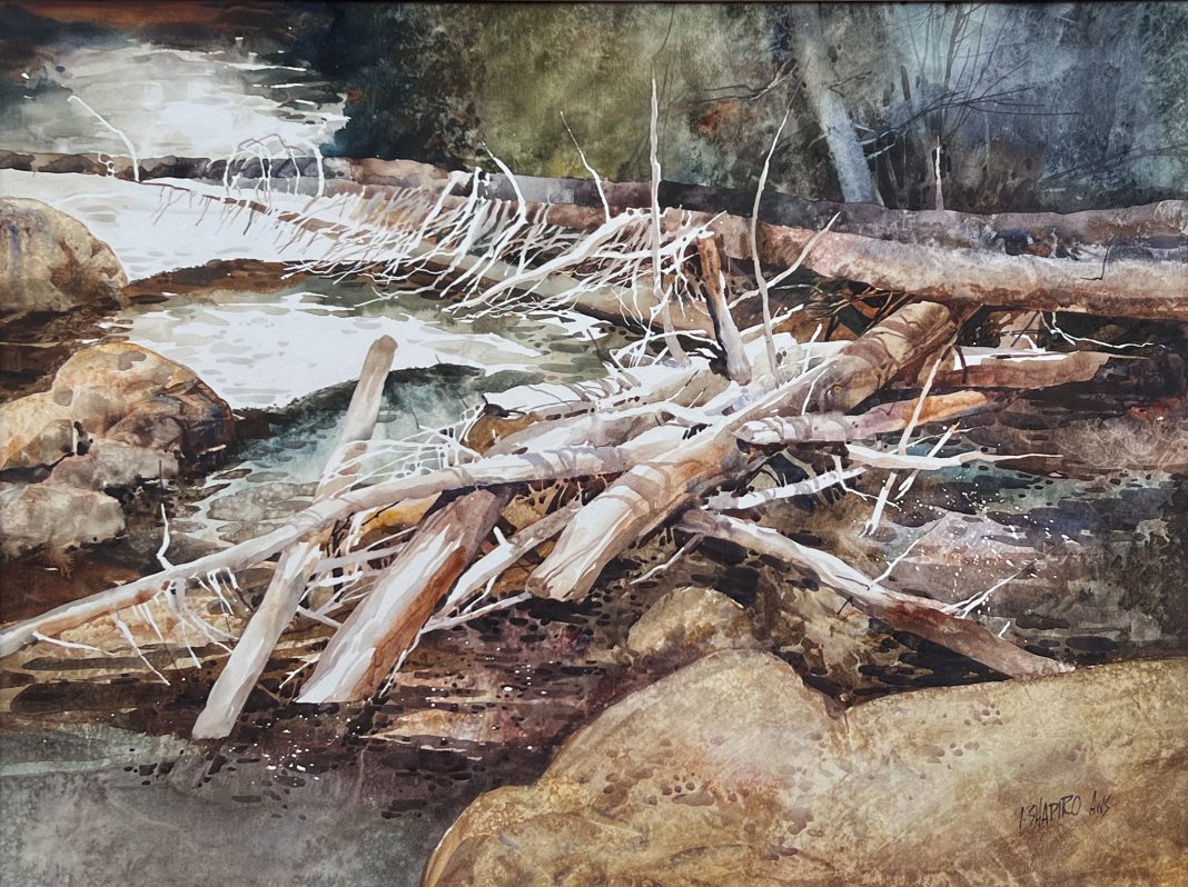 Irving Shapiro Canyon Filigree stream brook river beaver dam watercolor landscape painting