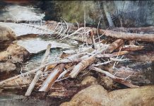 Irving Shapiro Canyon Filigree stream brook river beaver dam watercolor landscape painting